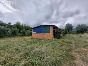 CHÍNH CHỦ CẦN BÁN GẤP LÔ ĐẤT RỘNG VỊ TRÍ ĐẸP GIÁ ĐẦU TƯ NGAY XÃ ĐÔNG THANH, LÂM HÀ, LÂM ĐỒNG