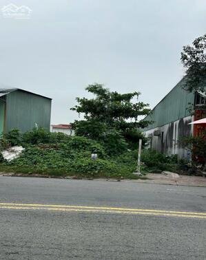 BÁN MÃNH ĐẤT PHAN VĂN MÃNG – TT BẾN LỨC DT 5 x 73m – SHR – GIÁ 11 TỶ (TL)