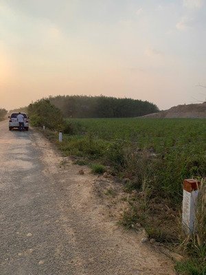 bán nhanh 2000m2 đất ninh điền ngang 40m giá chỉ 2tỷ380 còn thương lượng