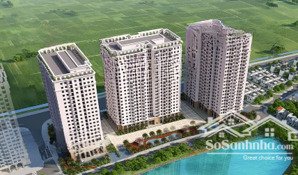 cần bán gấp 4 căn cc ngoại giao ruby park căn đẹp tầng đẹp giá tốt nhất