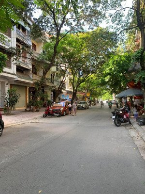 18 tỷ!!! sở hữu căn nhà phân lô bàn cờ trung tâm ba đình, kinh doanh sầm uất, 45m2 mt 4m