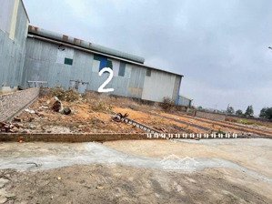 đất xuân đồng tân minh sóc sơn ô tô 30 chỗ đỗ cửa 88m mt 5.8m nhỉnh 2 tỏi