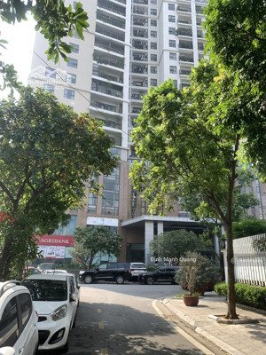 mặt phố cầu giấy - 300m2 - kinh doanh đỉnh - chỉ 300tr /m2