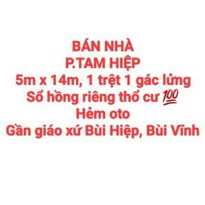 BÁN NHÀ TAM HIỆP, 1TRỆT 1LẦU LỬNG, SỔ HỒNG THỔ CƯ, HẺM OTO GẦN GX BÙI HIỆP (NP1134)