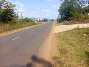 Mt tỉnh lộ 661-iamonong