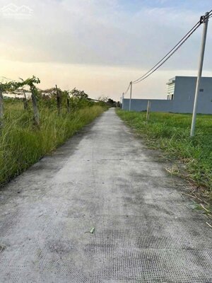 Bán đất xã Lạc Tấn , Tân Trụ tdt 1960m2 ( có 200m2 thổ) đường beton, có tường rào giá 2,2 tỷ