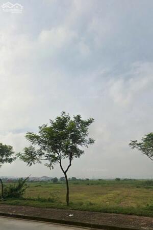 BÁN ĐẤT TRONG KCN THÀNH PHỐ HỒ CHÍ MINH (BĐ158)