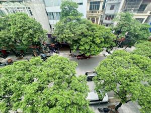 Bán Nhà Mặt Phố Lê Thanh Nghị Hai Bà Trưng 63m2-5T MT5,5m Vỉa Hè 35,8 Tỷ Lê Thanh Nghị.