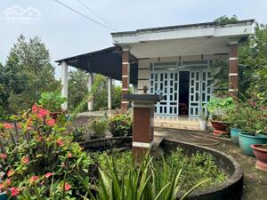 Trảng Bàng-Tây Ninh ngộp giảm 2 tỷ còn 2 tỷ 990tr dt 3555m2 sẵn nhà cấp 4 và vườn traí cây bám đường 30m cần bán gấp trước