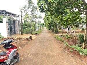 Đất TC 5*40m,có 10*40m,15*40m,Đường B3,Phạm Ngũ Lão,thôn 4,gần Vành Đai,nhiều lô khác