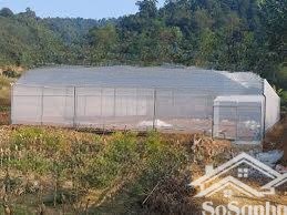 siêu phẩm cho cho thuê kho xưởng kinh doanh an sơn, p4, đà lạt, lâm đồng.có nhà kính làm nghiên cứu