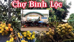 em bán gấp sào mặt tiền nhựa. sào lên thổ cư liền được.