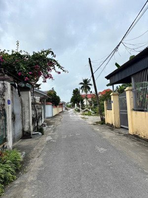 hàng hiếm tại hòa nghĩa, dương kinh, hải phòng