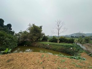 bán lô đất bám suối , bám cánh đồng