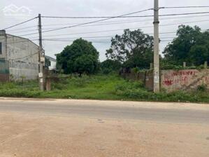 Bán đất mặt đường 310 tại Thị Trấn Kim Long, Tam Dương, Vĩnh Phúc. Giá chỉ 12 triệu/m2