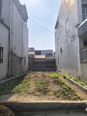 chính chủ bán đất vân tảo gần dự án vin olympic trước tết