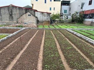 chính chủ bán đất chương dương, sát dự án vin olympic