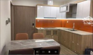 chính chủ cho thuê ch 2 ngủ 2 vệ sinh, 62m2, khu sakura sa5 vinhomes smart city, full nội thất.