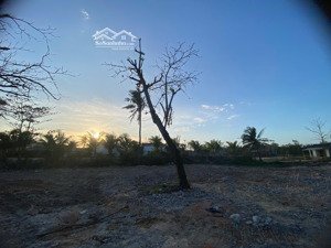 bán đất 1358m2 tại xã bình minh, thăng bình, quảng nam, 11 triệu / m2