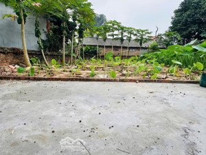 dưới 2,5 tỷ có ngay đất phú cát- hoà lạc