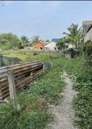 bán đất đường tân đức đức hoà hạ, hẻm 3 gác 2m, sổ hồng, dân đông, giá rẻ 750 triệu/ nền