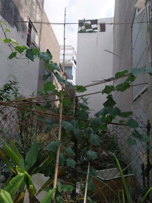 nhỉnh 4 tỷ đất trống 67m2 vuông vức nở hậu hẻm 3,5 sạch sẽ tiện xây nhà đẹp