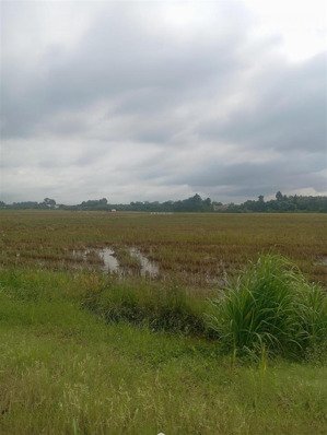 bán đất tại thôn xuân trang,xuân sơn, vạn ninh, giá tốt 29 tỷ, 7750.4m2 full thổ, đường 6m