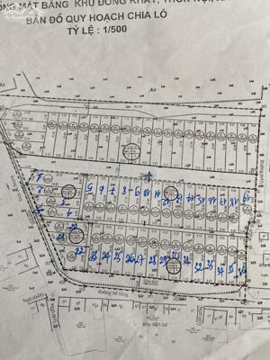 Chính chủ gửi bán lô đất đấu giá Đồng Khay, Xã Văn Hoàng, Huyện Phú Xuyên, 100m, giá 3x tr