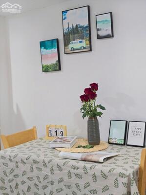 Căn Hộ Duplex Full Nội Thất Máy Giặt Riêng Gần Chợ Hoàng Hoa Thám Tân Bình