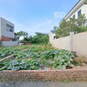 bán lô đất đẹp gần bìa làng thôn thạc quả - x. đông anh - hn. dt: 56.5m