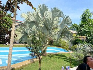 bán nhanh 1064m2 mt phú lợi - hcm giá 25 tỷ rẻ nhất thị trường. đất sạch đẹp sẵn công chứng