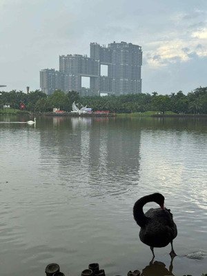 cho thuê nhà mặt phố diện tích rộng