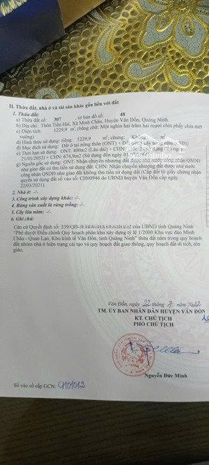 chính chủ giao dịch cần bán mảnh đất trục chính thôn tiền hải, giá đầu tư đẹp có tặng bản thiết kế
