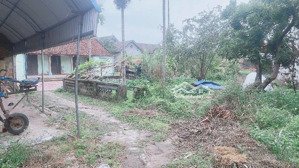 bán nhà riêng tại bắc sơn, sóc sơn, hà nội, giá siêu hời 5,6 tỷ, 748m2