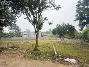  Quá đẹp cho 1 lô đất tài chính loanh quanh 350-389 tr 