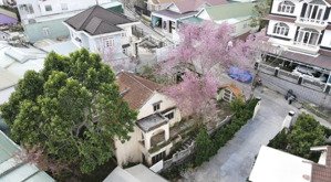 bán villa sân vườn 400m2 đường hùng vương, phường 9, đà lạt