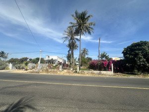 chính chủ cần bán nhanh 1262m2 đất mặt tiền đường, xuân thuỷ mũi né, giá 10,5 tỷ