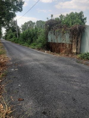 bán đất tại đường kênh 9, xã tân nhựt, bình chánh, hồ chí minh, giá cực chất 20 tỷ, 3440m2