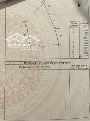 cần bán nhanh ~1,2 mẫu rẫy điều đang thu hoạch, sổ rõ ràng