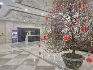 căn hộ 62m2 tòa r2 tầng đẹp, trục view nội khu - mua nhà đón tết.