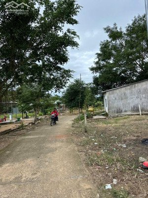 chính chủ bán 221m2 đất khánh đông thổ cư đẹp sát suối chỉ 219 triệu