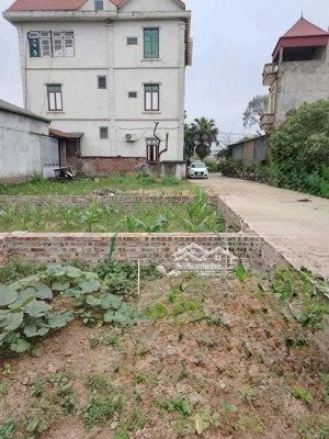 4,06 tỷ đất đẹp mai lâm, đông anh, diện tích nhỏ xinh, gần oto tránh, 5 phút sang long biên