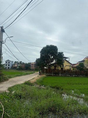 view lúa ô tô tận nơi giá 3.xx tỷ tại cẩm châu hội an.