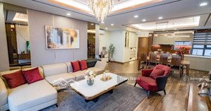 cho thuê căn hộ platinum residences 6 nguyễn công hoan, 110m2, 2 ngủ, đủ đồ giá 19tr/th. 