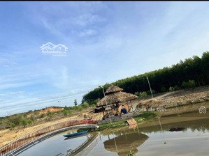 phước tân-xuyên mộc dt : 5xào1 cách đường suối rao-phước tân chỉ 300m-giá 5ty6