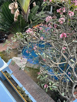 cho thuê biệt thự kinh doanh thảo điền sân vườn hồ bơi rộng siêu hiếm giá chỉ 120 triệu / tháng