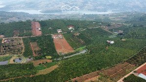 đất vườn cafe quy hoạch full thổ cư 2 mặt tiền đường!