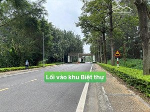 siêu biệt thự villa avenue vân trì với diện tích khủng 1188m2. đẳng cấp thượng lưu chính là đây