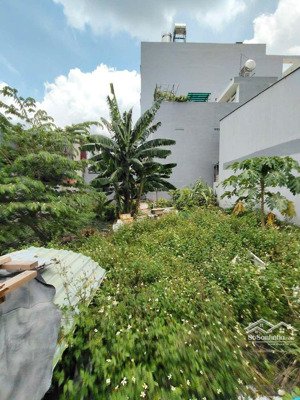 đất thổ cư sổ hồng riêng 3,2m x 16m