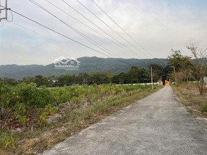 bán đất tân hòa 155m² đường đất 3m - giá 1,68 tỷ - giao dịch trực tiếp 